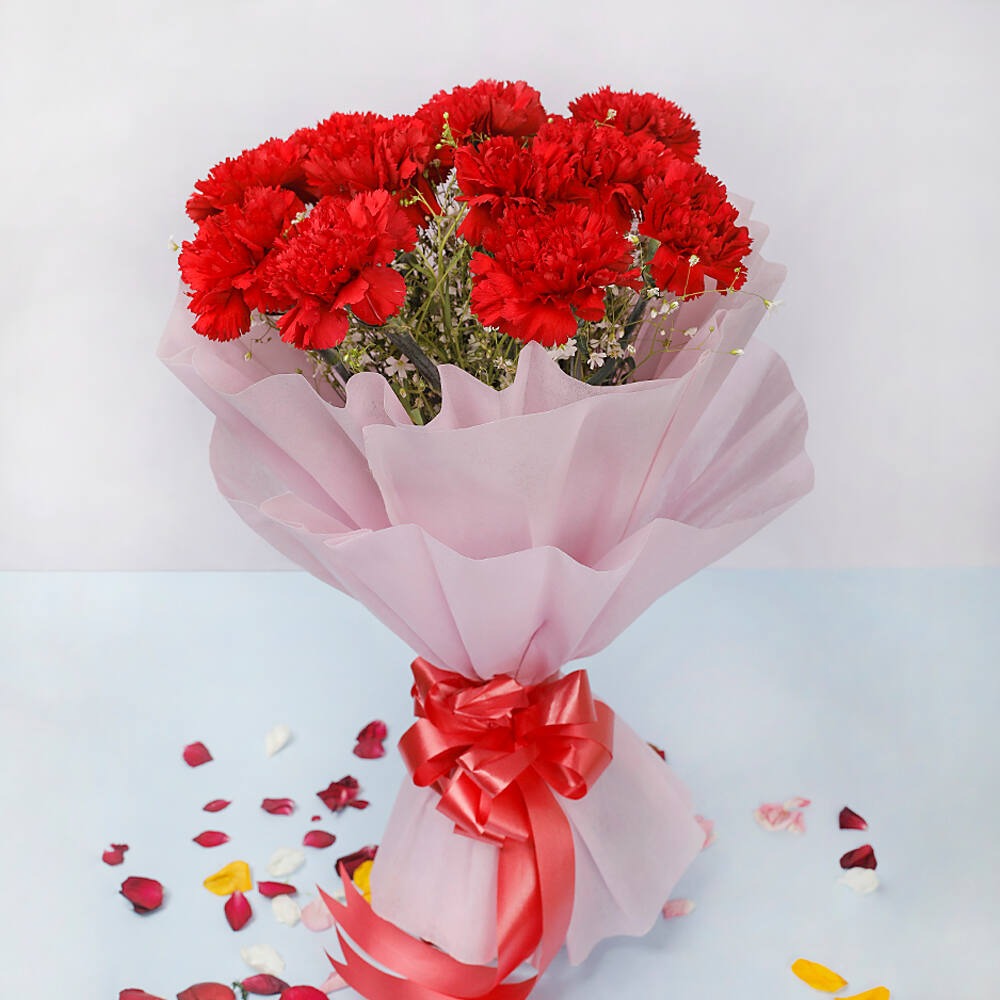 12 Red Carnations - Radianbd | Celebrate with Elegance
