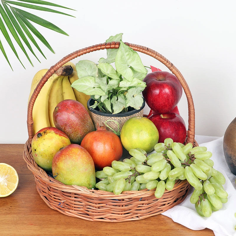 mix-fruit-plant-basket-9891210co-B_8891ccd2.webp